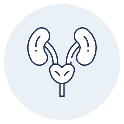 Urologie Centrul Medical CardioMed Urologie