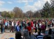 Crosul Inimii Târgu Ocna 2014